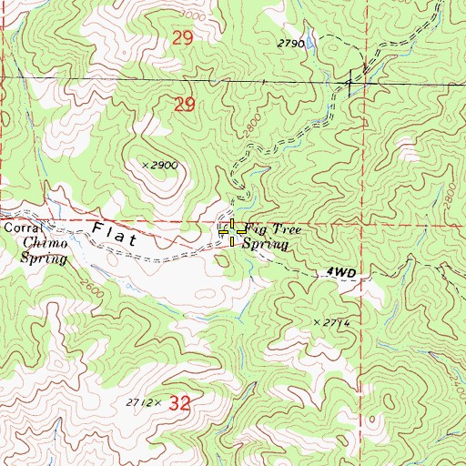Topographic Map of Fig Tree Spring, CA