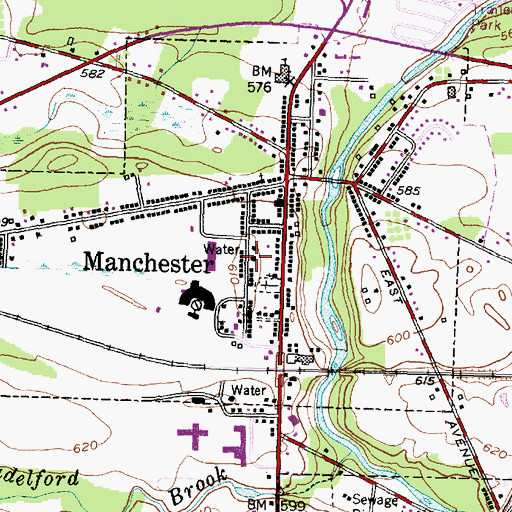 Topographic Map of Manchester Water Works, NY