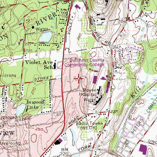Topographic Map of Falcon Hall, NY