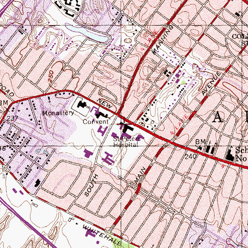 Topographic Map of Bishop Cusack Memorial Nurses Home, NY