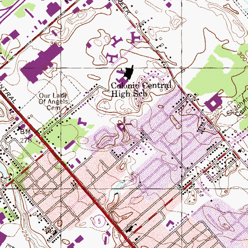 Topographic Map of Our Savior's Lutheran School, NY