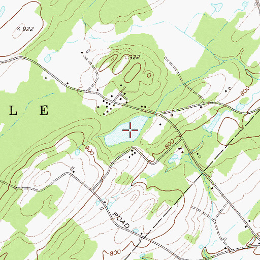 Topographic Map of Willow Lake, NY