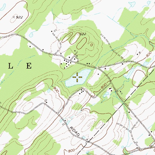 Topographic Map of Willow Lake, NY