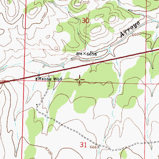 Topographic Map of Rancho Magdalena Airport, NM