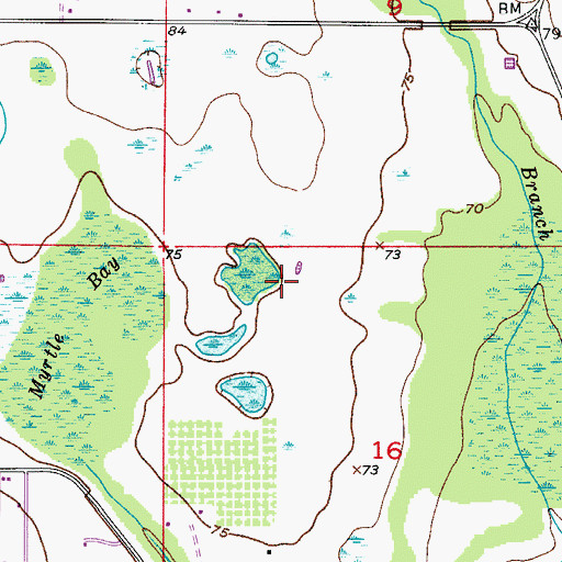 Topographic Map of Quail West Golf and Country Club, FL