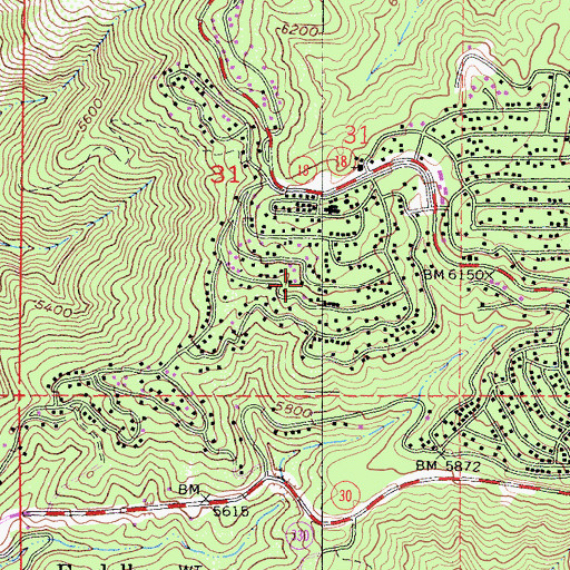Topographic Map of Shepherds Flock Academy, CA