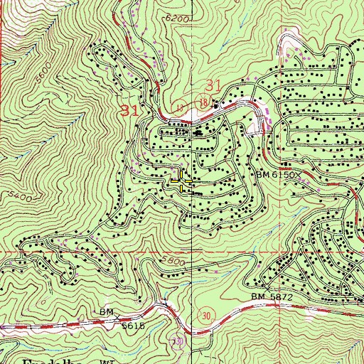 Topographic Map of Shepherds Flock Academy, CA