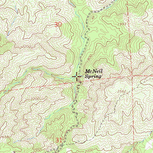 Topographic Map of McNeil Spring, CA