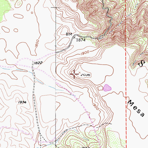 Topographic Map of Mesa de Burro, CA
