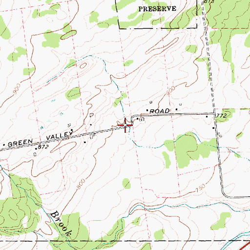Topographic Map of Green Valley School (historical), NY