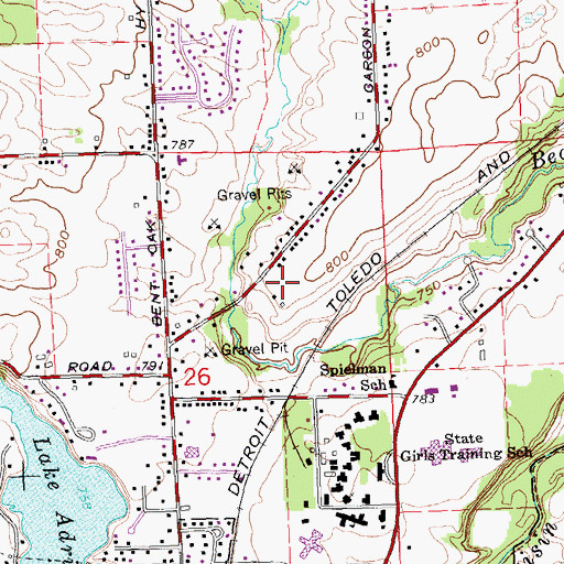Topographic Map of Weaver Graves, MI