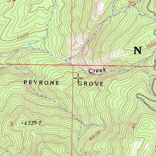 Topographic Map of Peyrone Grove, CA