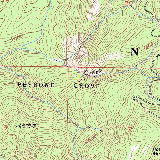 Topographic Map of Peyrone Grove, CA