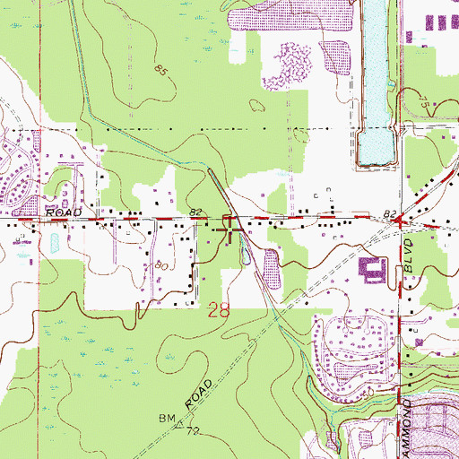 Topographic Map of Woodstock Baptist Church, FL