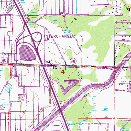 Topographic Map of Interchange 87, FL