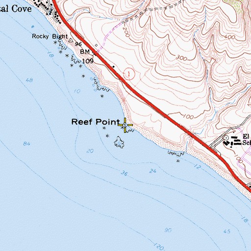 Topographic Map of Reef Point, CA