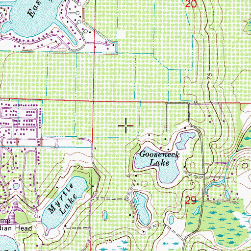 Topographic Map of Land O' Lakes Branch Library, FL