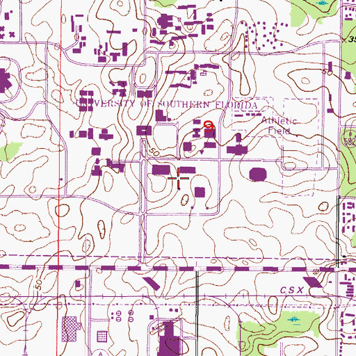 Topographic Map of University of South Florida Communication and Information Sciences Building, FL