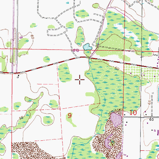 Topographic Map of Bayonnes at Cheval, FL