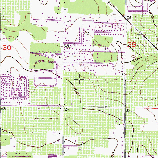 Topographic Map of Bent Tree, FL