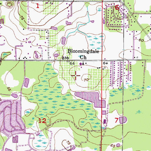 Topographic Map of Bloomingdale Oaks, FL