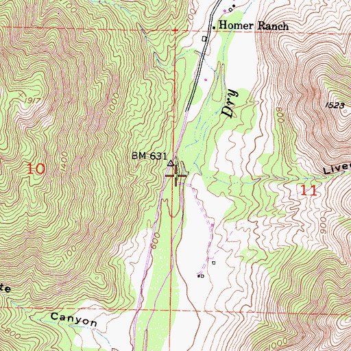 Topographic Map of Ridenhour Creek, CA