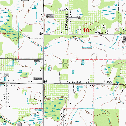 Topographic Map of Ancient Oak, FL