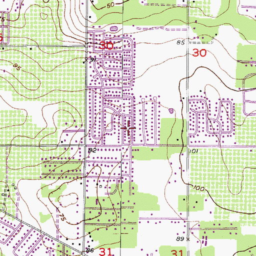 Topographic Map of Brandon Valrico Hills Estates, FL