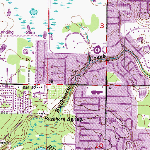Topographic Map of Buckhorn Creek, FL