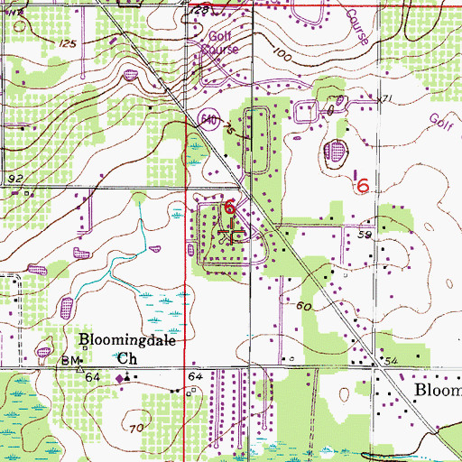 Topographic Map of Buckhorn Springs Manor, FL
