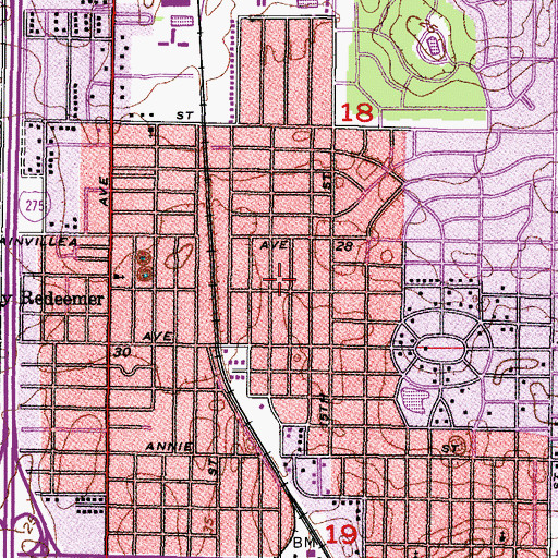 Topographic Map of Castle Heights, FL