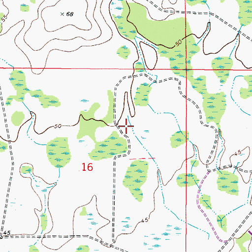 Topographic Map of Cory Lake Isles, FL
