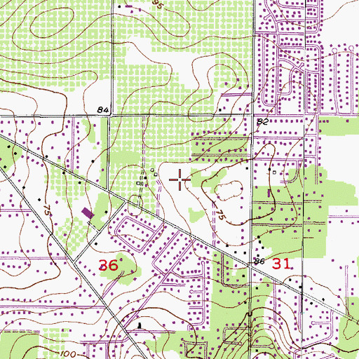 Topographic Map of Lumsden Pointe, FL