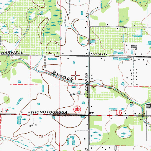 Topographic Map of Manee, FL
