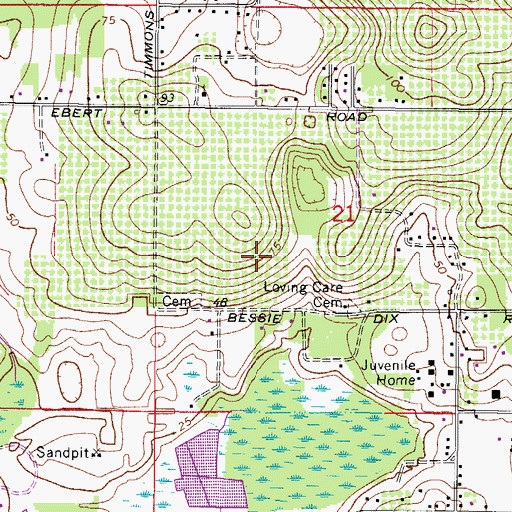 Topographic Map of Hamlin Hill Estates, FL
