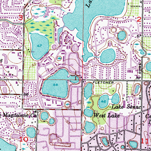 Topographic Map of Lake Magdalene Arms, FL