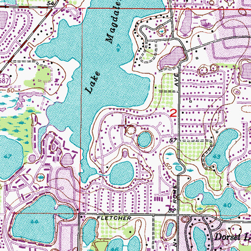 Topographic Map of Lake Magdalene Manors, FL