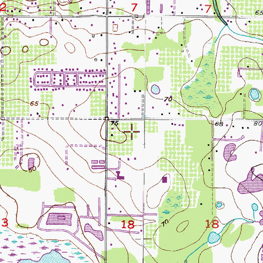 Topographic Map of Meadow Woods Reserve, FL