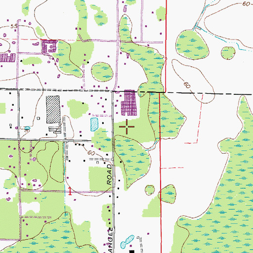 Topographic Map of Odessa Woods, FL