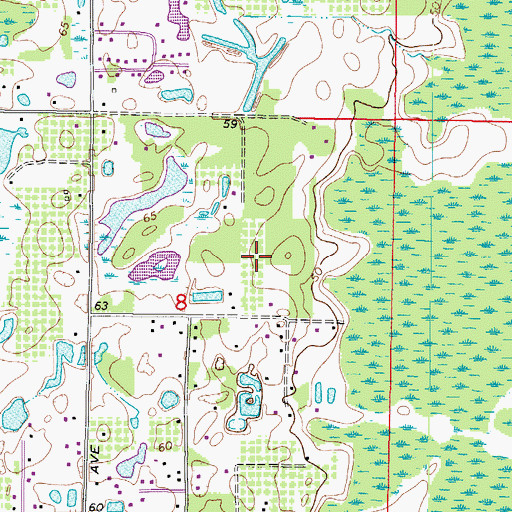 Topographic Map of Ziegler Brothers Trail, FL