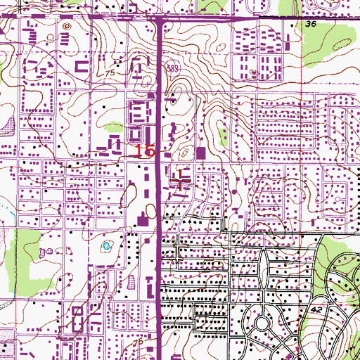 Topographic Map of Temple Valley Estates, FL