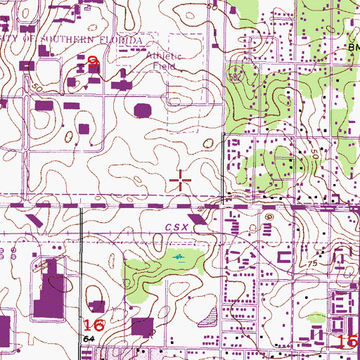 Topographic Map of Pizzo Elementary School, FL