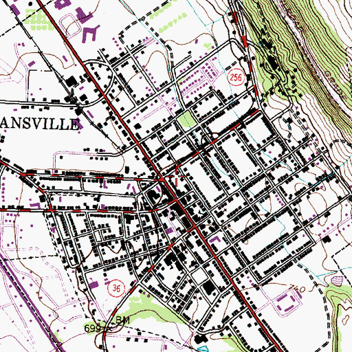 Topographic Map of Dansville Public Library, NY