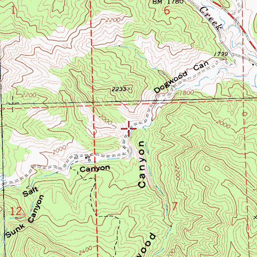 Topographic Map of Salt Canyon, CA