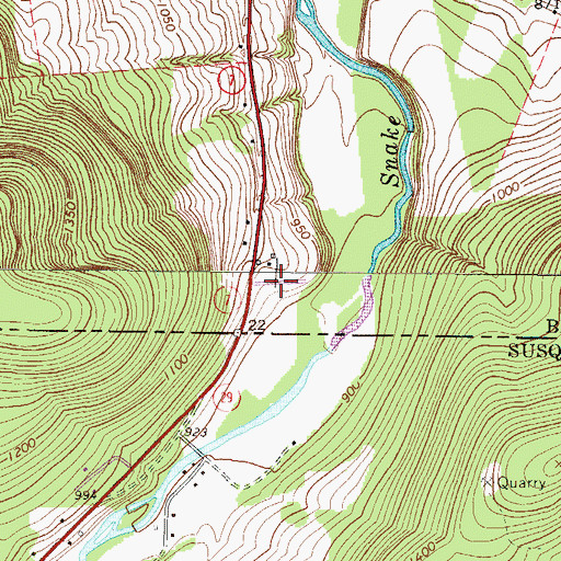 Topographic Map of Blue Ridge Mobile Home Park, NY