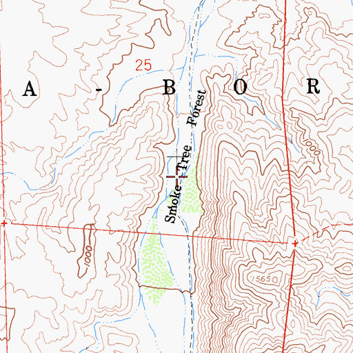 Topographic Map of Smoke Tree Forest, CA