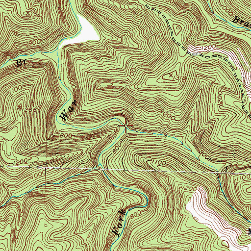 Topographic Map of Little Buck Lick Branch, KY