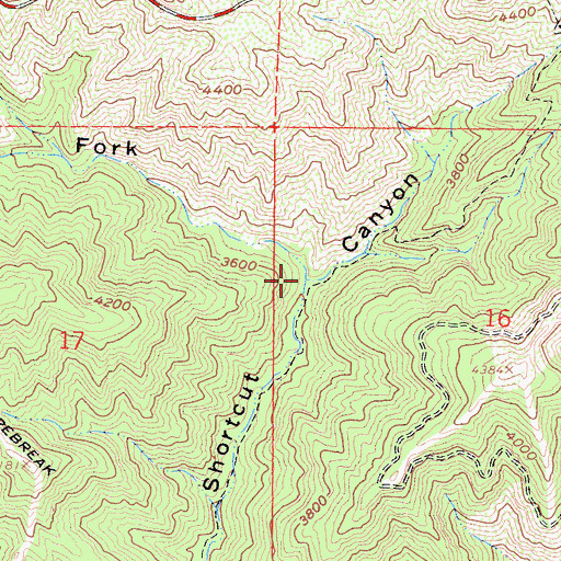 Topographic Map of Trail Fork, CA
