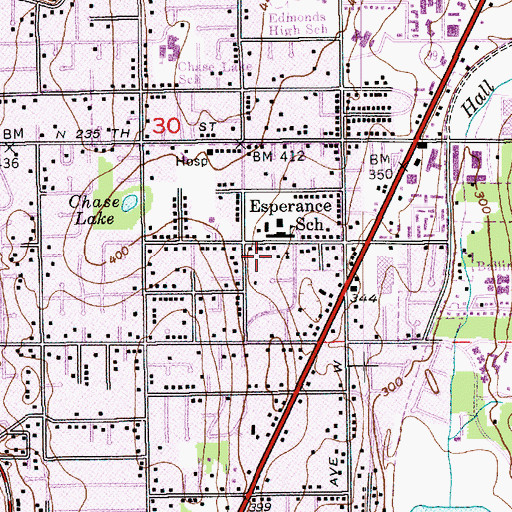 Topographic Map of Edmonds Cyber School, WA