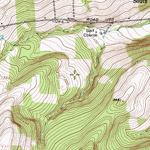 Topographic Map of Apalachin Golf Course, NY